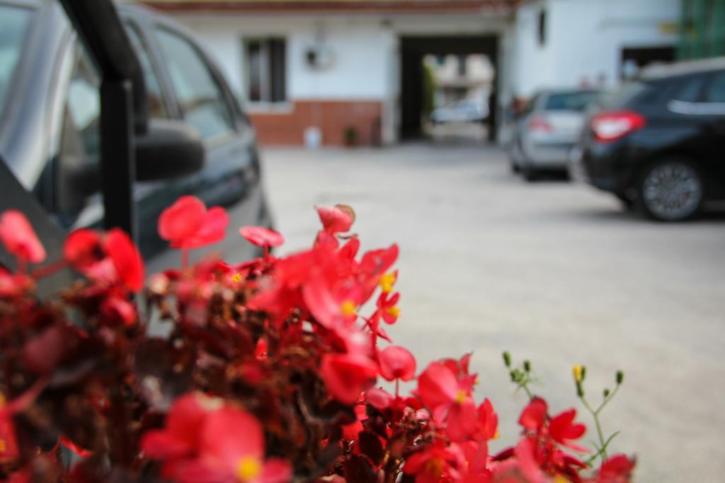Hotel Santa Marta Pozzuoli Zewnętrze zdjęcie